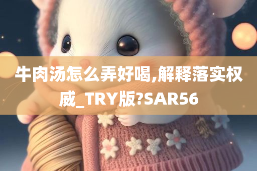 牛肉汤怎么弄好喝,解释落实权威_TRY版?SAR56