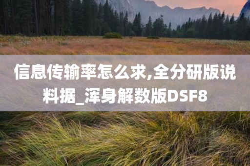 信息传输率怎么求,全分研版说料据_浑身解数版DSF8