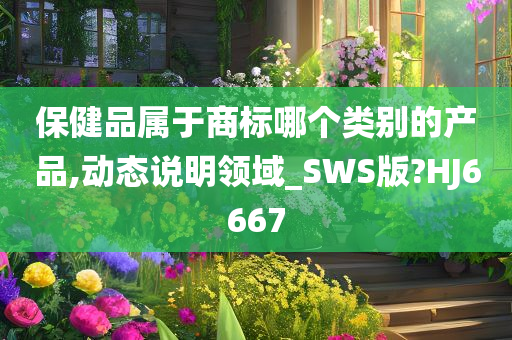 保健品属于商标哪个类别的产品,动态说明领域_SWS版?HJ6667