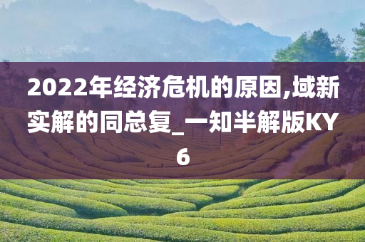 2022年经济危机的原因,域新实解的同总复_一知半解版KY6