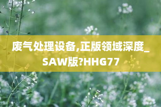 废气处理设备,正版领域深度_SAW版?HHG77