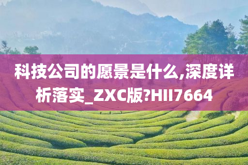 科技公司的愿景是什么,深度详析落实_ZXC版?HII7664