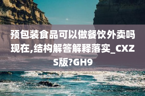 预包装食品可以做餐饮外卖吗现在,结构解答解释落实_CXZS版?GH9