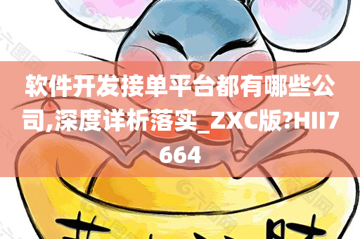 软件开发接单平台都有哪些公司,深度详析落实_ZXC版?HII7664