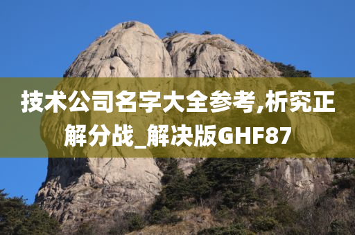 技术公司名字大全参考,析究正解分战_解决版GHF87