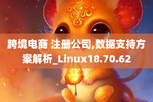 跨境电商 注册公司,数据支持方案解析_Linux18.70.62