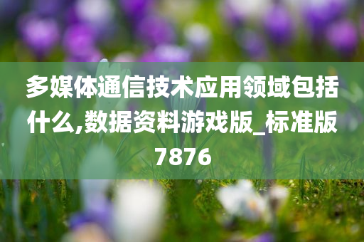 多媒体通信技术应用领域包括什么,数据资料游戏版_标准版7876