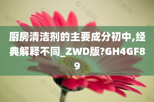 厨房清洁剂的主要成分初中,经典解释不同_ZWD版?GH4GF89