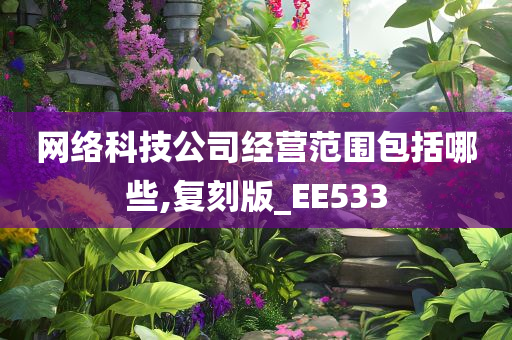 网络科技公司经营范围包括哪些,复刻版_EE533