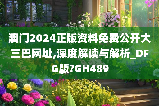 澳门2024正版资料免费公开大三巴网址,深度解读与解析_DFG版?GH489