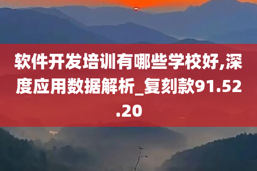 软件开发培训有哪些学校好,深度应用数据解析_复刻款91.52.20