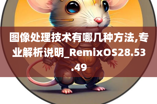 图像处理技术有哪几种方法,专业解析说明_RemixOS28.53.49