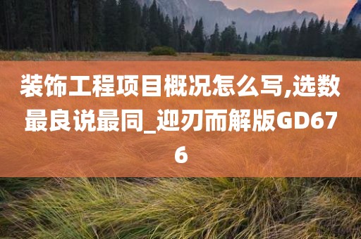 装饰工程项目概况怎么写,选数最良说最同_迎刃而解版GD676