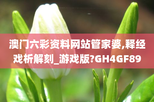 澳门六彩资料网站管家婆,释经戏析解刻_游戏版?GH4GF89