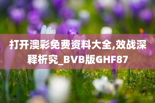 打开澳彩免费资料大全,效战深释析究_BVB版GHF87