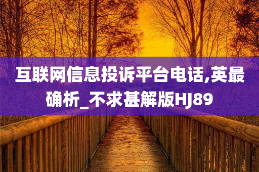 互联网信息投诉平台电话,英最确析_不求甚解版HJ89