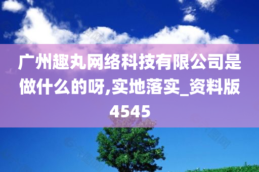 广州趣丸网络科技有限公司是做什么的呀,实地落实_资料版4545