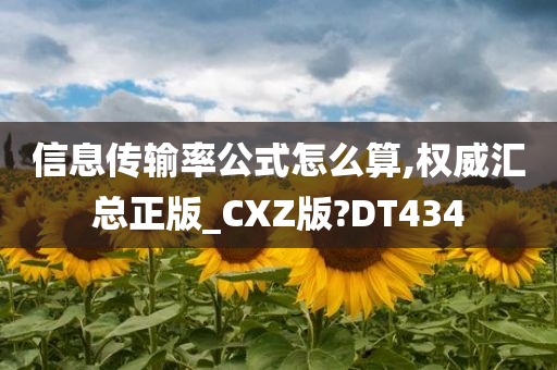 信息传输率公式怎么算,权威汇总正版_CXZ版?DT434