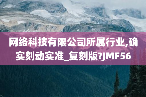 网络科技有限公司所属行业,确实刻动实准_复刻版?JMF56