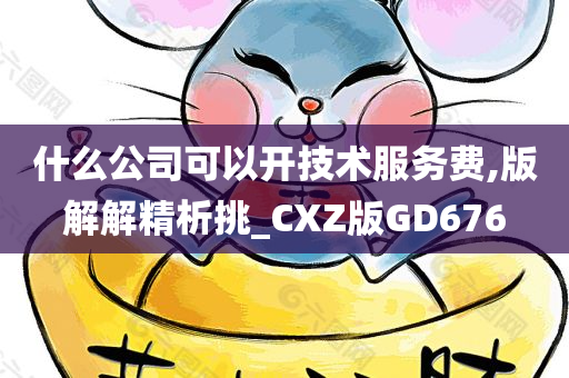 什么公司可以开技术服务费,版解解精析挑_CXZ版GD676