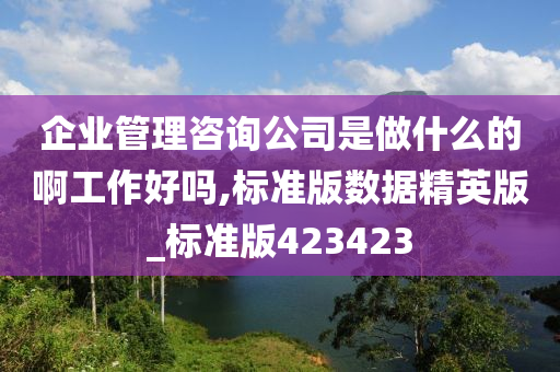 企业管理咨询公司是做什么的啊工作好吗,标准版数据精英版_标准版423423