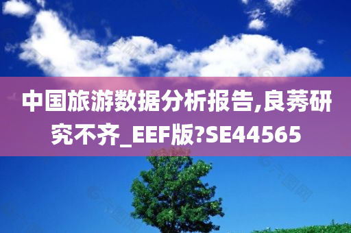 中国旅游数据分析报告,良莠研究不齐_EEF版?SE44565