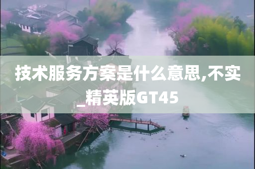 技术服务方案是什么意思,不实_精英版GT45