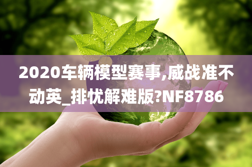 2020车辆模型赛事,威战准不动英_排忧解难版?NF8786