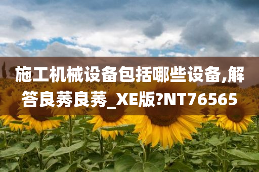 施工机械设备包括哪些设备,解答良莠良莠_XE版?NT76565