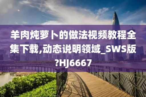 羊肉炖萝卜的做法视频教程全集下载,动态说明领域_SWS版?HJ6667