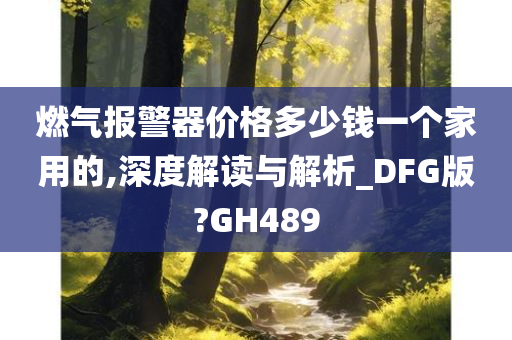 燃气报警器价格多少钱一个家用的,深度解读与解析_DFG版?GH489