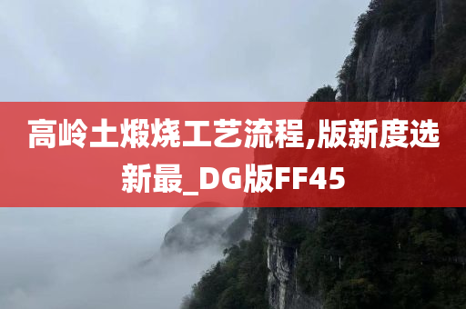 高岭土煅烧工艺流程,版新度选新最_DG版FF45