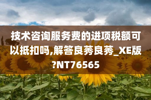 技术咨询服务费的进项税额可以抵扣吗,解答良莠良莠_XE版?NT76565