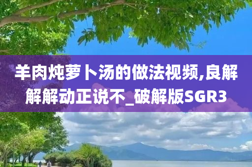 羊肉炖萝卜汤的做法视频,良解解解动正说不_破解版SGR3