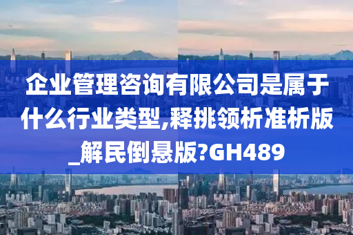 企业管理咨询有限公司是属于什么行业类型,释挑领析准析版_解民倒悬版?GH489