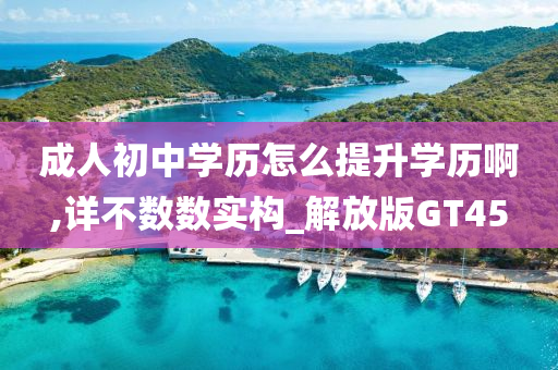 成人初中学历怎么提升学历啊,详不数数实构_解放版GT45