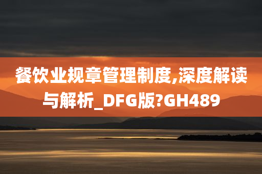 餐饮业规章管理制度,深度解读与解析_DFG版?GH489