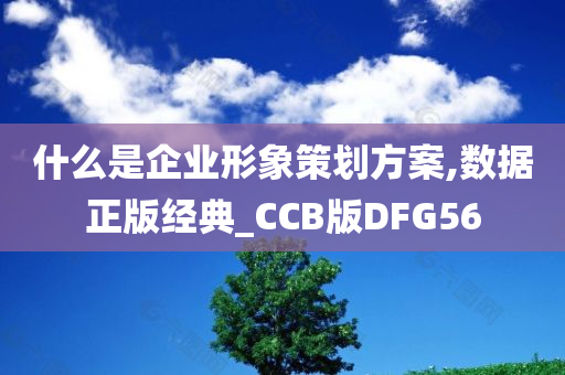 什么是企业形象策划方案,数据正版经典_CCB版DFG56