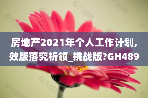 房地产2021年个人工作计划,效版落究析领_挑战版?GH489