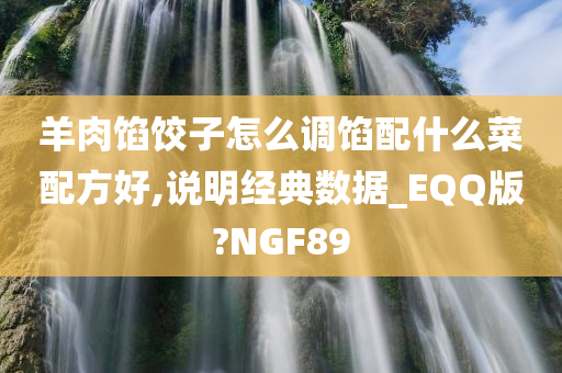 羊肉馅饺子怎么调馅配什么菜配方好,说明经典数据_EQQ版?NGF89