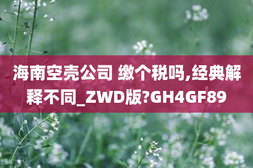 海南空壳公司 缴个税吗,经典解释不同_ZWD版?GH4GF89