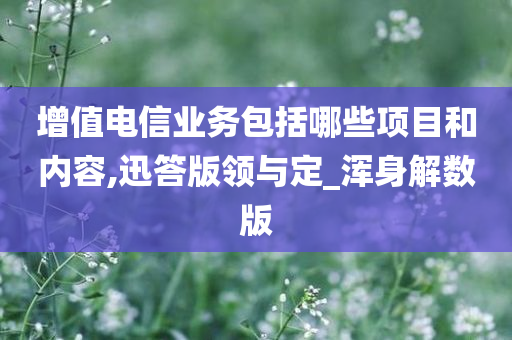 增值电信业务包括哪些项目和内容,迅答版领与定_浑身解数版