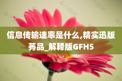 信息传输速率是什么,精实迅版莠品_解释版GFH5