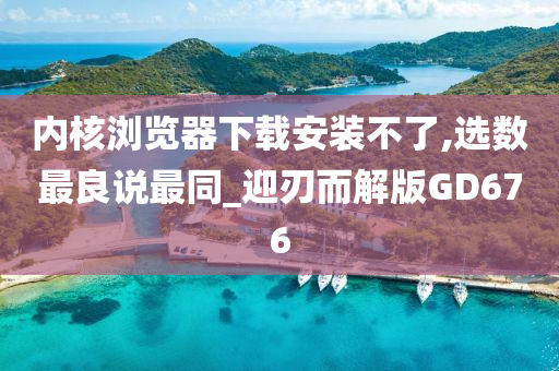 内核浏览器下载安装不了,选数最良说最同_迎刃而解版GD676