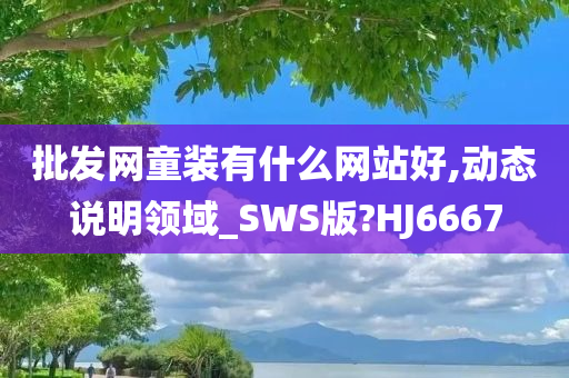 批发网童装有什么网站好,动态说明领域_SWS版?HJ6667