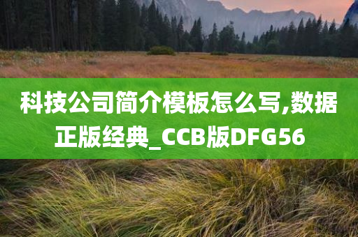 科技公司简介模板怎么写,数据正版经典_CCB版DFG56