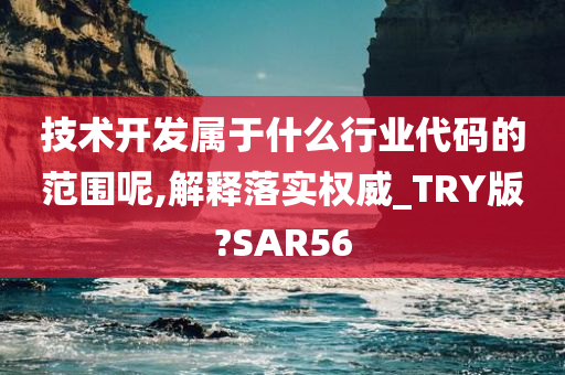 技术开发属于什么行业代码的范围呢,解释落实权威_TRY版?SAR56