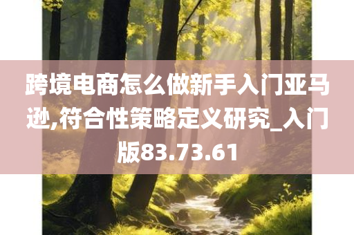 跨境电商怎么做新手入门亚马逊,符合性策略定义研究_入门版83.73.61