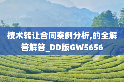 技术转让合同案例分析,的全解答解答_DD版GW5656