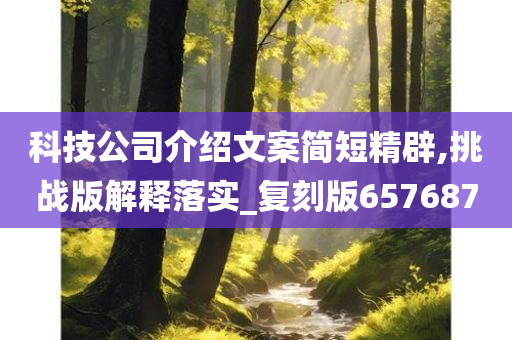 科技公司介绍文案简短精辟,挑战版解释落实_复刻版657687